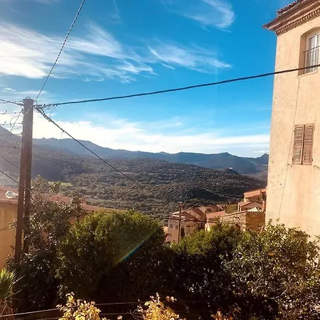 Appartement A 10 Min De La Belgodère